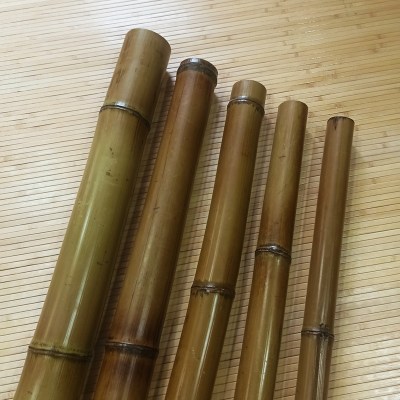Бамбуковый ствол (обожженный) D 30-40мм.