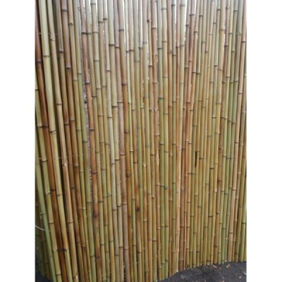 Забор из бамбука рулонный 1х3м. (золото)